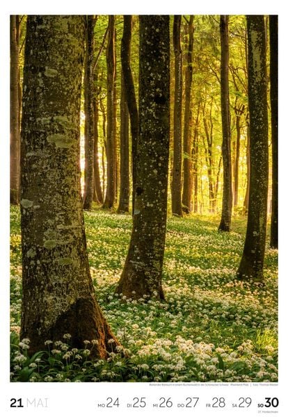 Produktbild: Natur Wochenkalender 2027