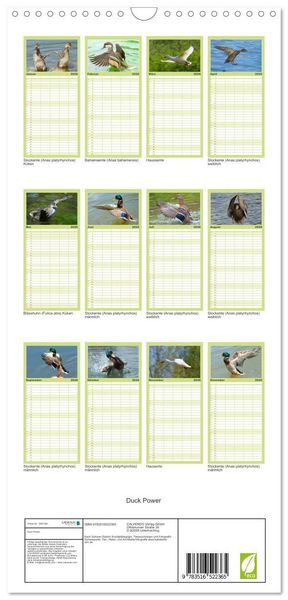 Produktbild: Familienplaner 2026 - Duck Power mit 5 Spalten (Wandkalender, 21 x 45 cm) CALVENDO