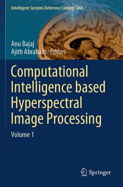 Produktbild: Computational Intelligence based Hyperspectral Image Processing