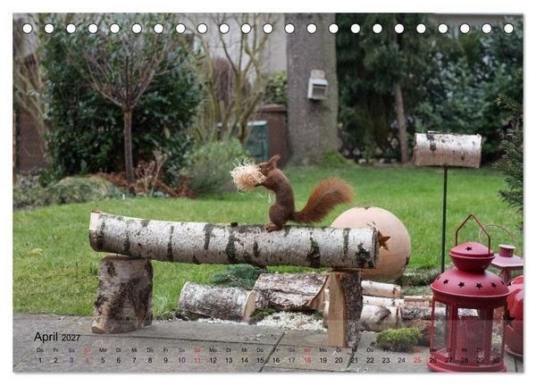 Produktbild: Spa&szlig; mit Eichh&ouml;rnchen! (Tischkalender 2027 DIN A5 quer), CALVENDO Monatskalender