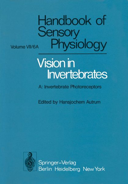 Produktbild: Comparative Physiology and Evolution of Vision in Invertebrates