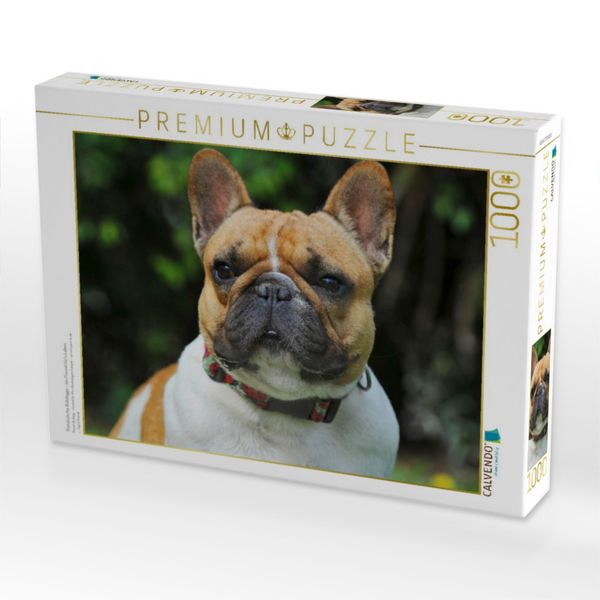 Produktbild: CALVENDO Puzzle Franz&ouml;sische Bulldogge - ein Freund f&uuml;r&acute;s Leben | 1000 Teile Lege-Gr&ouml;&szlig;e 64x48cm Foto-Puzzle f&uuml;r gl&uuml;ckliche Stunden
