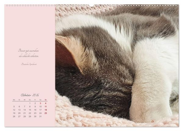 Produktbild: H&auml;ng einfach mal ab (hochwertiger Premium Wandkalender 2026 DIN A2 quer), Kunstdruck in Hochglanz