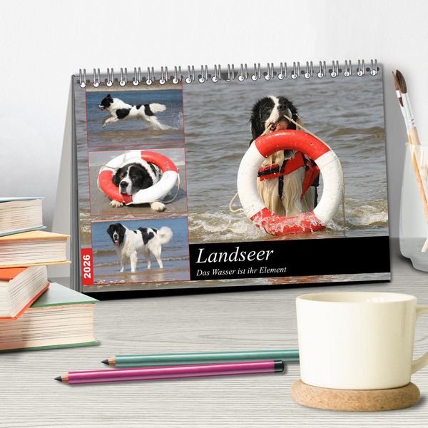 Produktbild: Landseer - Das Wasser ist ihr Element (Tischkalender 2026 DIN A5 quer), CALVENDO Monatskalender