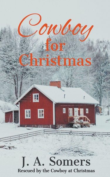 Produktbild: Cowboy for Christmas