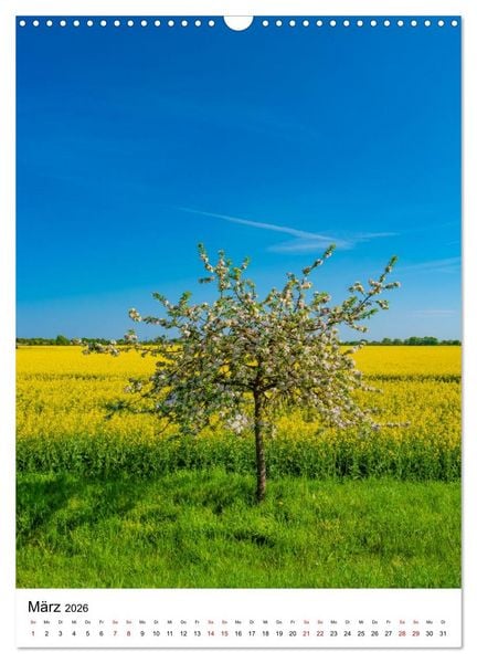Produktbild: Magdeburg - Die sch&ouml;nsten Momente (Wandkalender 2026 DIN A3 hoch), CALVENDO Monatskalender