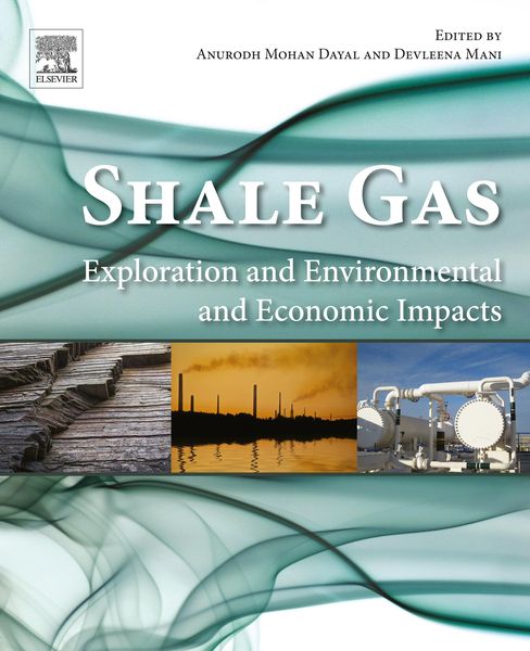 Produktbild: Shale Gas