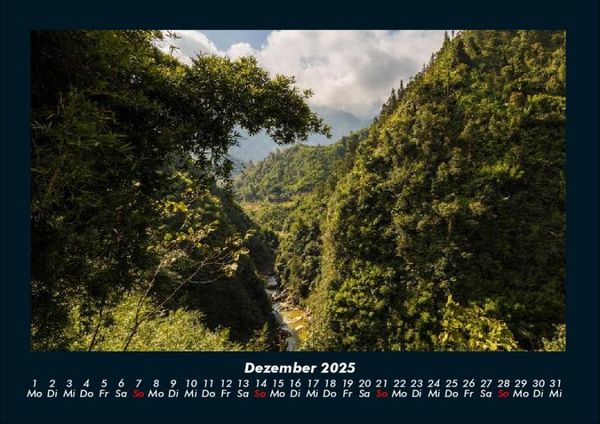 Produktbild: B&auml;ume 2025 Fotokalender DIN A4
