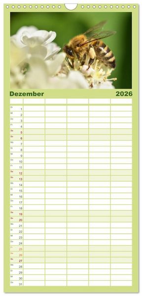 Produktbild: Familienplaner 2026 - Hummeln und Bienen mit 5 Spalten (Wandkalender, 21 x 45 cm) CALVENDO