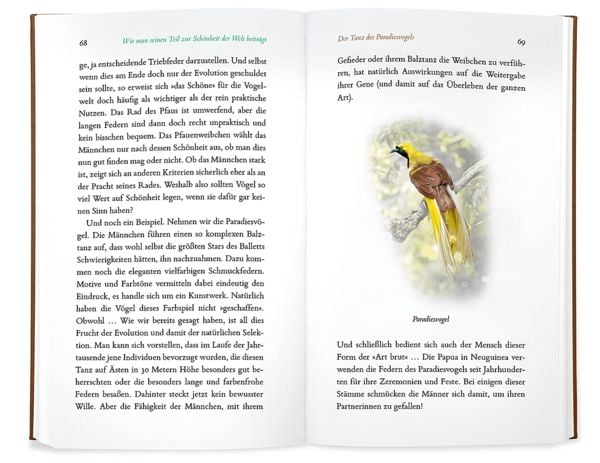 Produktbild: Kleine Philosophie der V&ouml;gel