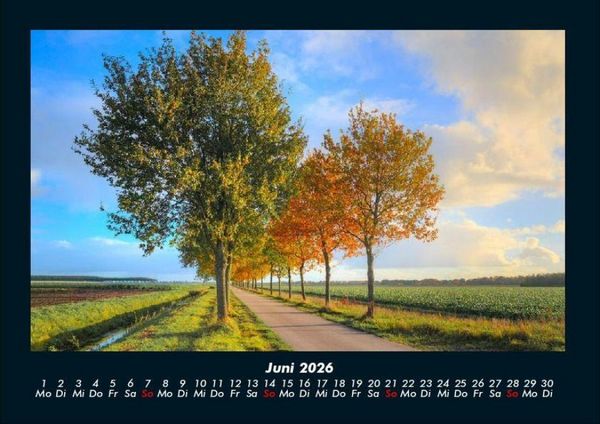 Produktbild: B&auml;ume 2026 Fotokalender DIN A4