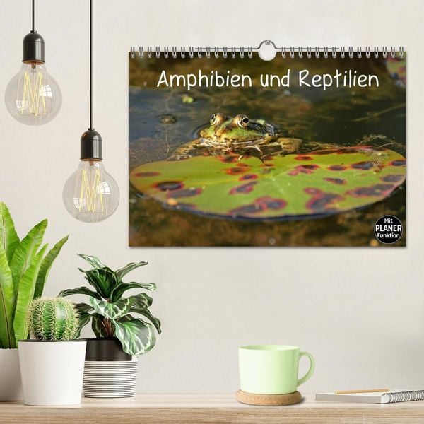 Produktbild: Amphibien und Reptilien (Wandkalender 2026 DIN A4 quer), CALVENDO Monatskalender