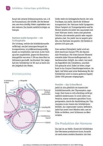Produktbild: Schilddr&uuml;se im Gleichgewicht