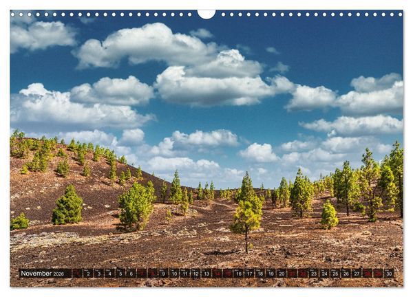 Produktbild: The canary islands Tenerife, Gran Canaria und Fuerteventura (Wall Calendar 2026 DIN A3 landscape), CALVENDO 12 Month Wall Calendar