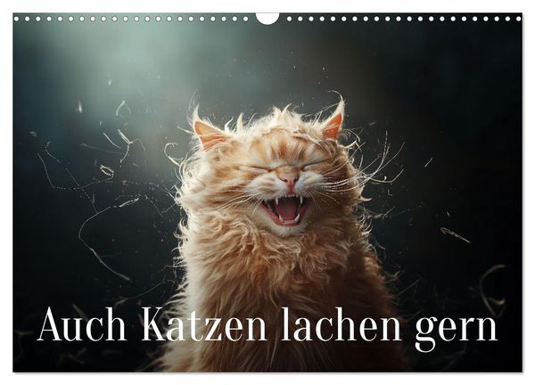 Produktbild: Auch Katzen lachen gern (Wandkalender 2026 DIN A3 quer), CALVENDO Monatskalender
