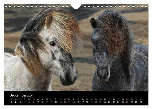 Produktbild: Island - wundervolle Weite (Wandkalender 2026 DIN A4 quer), CALVENDO Monatskalender