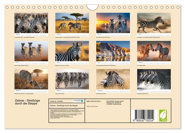 Produktbild: Zebras - Streifz&uuml;ge durch die Steppe (Wandkalender 2026 DIN A4 quer), CALVENDO Monatskalender