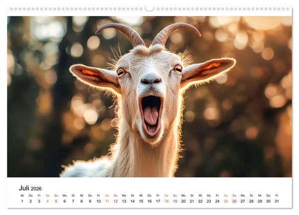 Produktbild: Ziegen - Bocksprung durch das Jahr (Wandkalender 2026 DIN A2 quer), CALVENDO Monatskalender