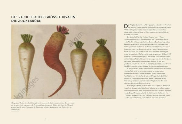 Produktbild: Das Festmahl der Eroberer