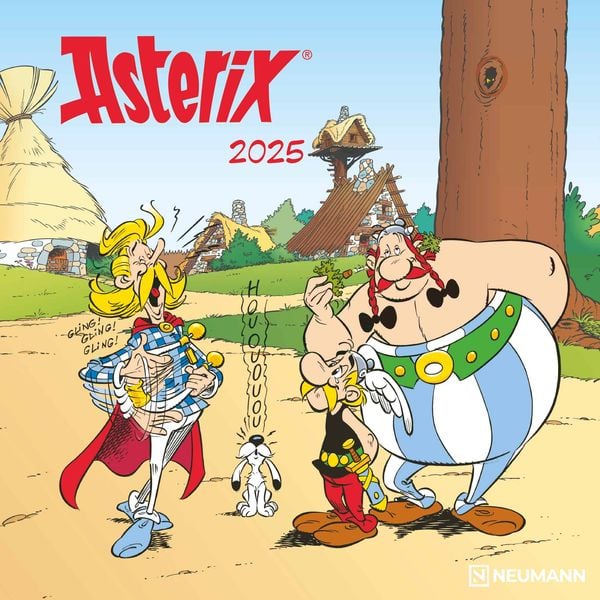 Asterix 2025 - Wand-Kalender - Broschüren-Kalender - 30x30 -