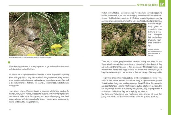Produktbild: Mediterranean Tortoises: Gentle Creatures in Hard Shells