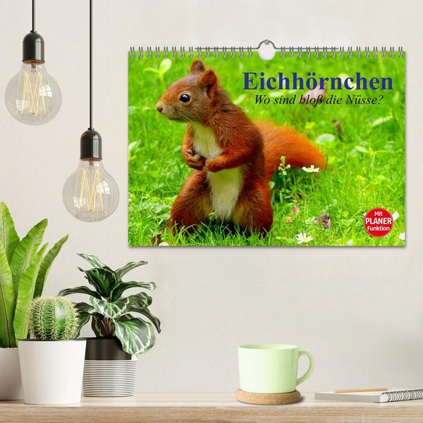 Produktbild: Eichh&ouml;rnchen. Wo sind blo&szlig; die N&uuml;sse? (Wandkalender 2026 DIN A4 quer), CALVENDO Monatskalender