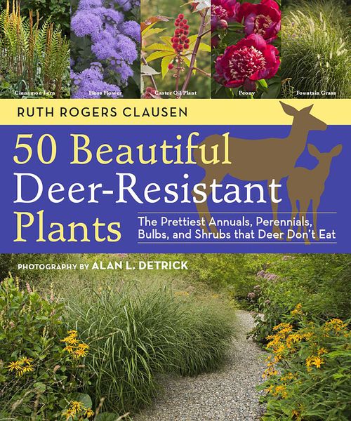 Produktbild: 50 Beautiful Deer-Resistant Plants