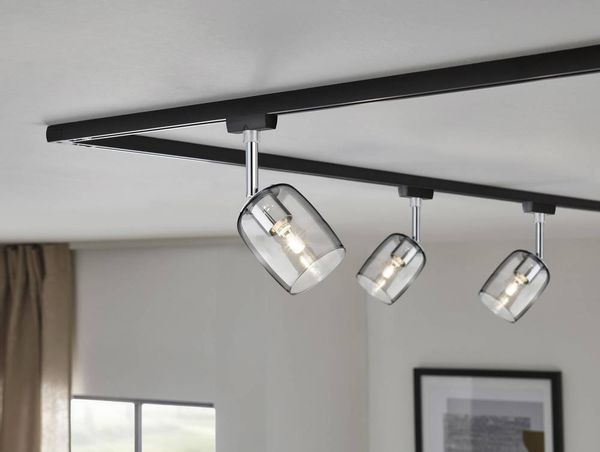 Produktbild: Paulmann Blossom Deckenstrahler URail G9 Schwarz (matt), Rauchglas