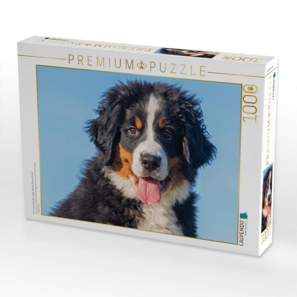 Produktbild: CALVENDO Puzzle Ein entz&uuml;ckender junger Berner Sennenhund | 1000 Teile Lege-Gr&ouml;&szlig;e 64x48cm Foto-Puzzle f&uuml;r gl&uuml;ckliche Stunden