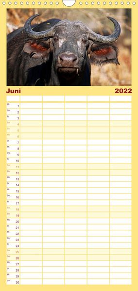 Produktbild: Familienplaner KR&Uuml;GER NATIONALPARK Afrikas Perle (Wandkalender 2022 , 21 cm x 45 cm, hoch)