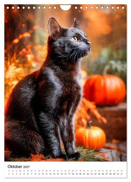 Produktbild: Von wegen Ungl&uuml;ck! - Die faszinierende Welt schwarzer Katzen (Wandkalender 2027 DIN A4 hoch), CALVENDO Monatskalender