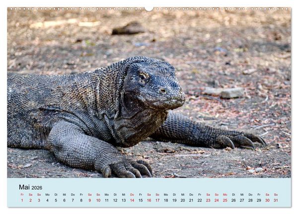 Produktbild: Indonesien - Die kleinen Sundainseln (hochwertiger Premium Wandkalender 2026 DIN A2 quer), Kunstdruck in Hochglanz