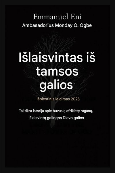Produktbild: I&iquest;vaduotas i&iquest; tamsos galios - I&iquest;pl&iquest;stinis leidimas 2025 m.