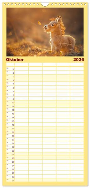 Produktbild: Familienplaner 2026 - Lustige Eselgeschichten mit 5 Spalten (Wandkalender, 21 x 45 cm) CALVENDO