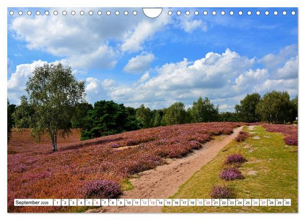 Produktbild: Wege gehen... (Wandkalender 2026 DIN A4 quer), CALVENDO Monatskalender