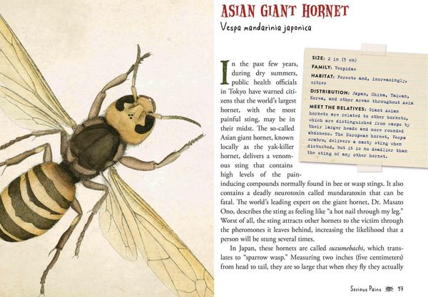 Produktbild: Wicked Bugs (Young Readers Edition)