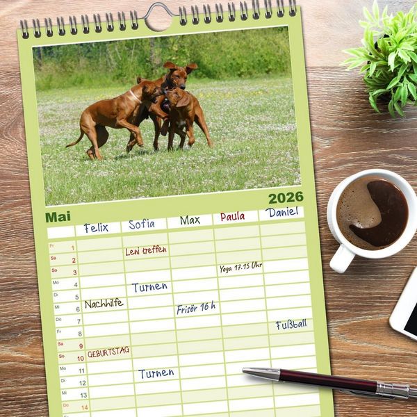 Produktbild: Familienplaner 2026 - Rhodesian Ridgeback - Jung, wild, zuckers&uuml;&szlig; mit 5 Spalten (Wandkalender, 21 x 45 cm) CALVENDO