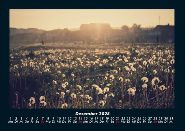 Produktbild: Blumentr&auml;ume 2025 Fotokalender DIN A4