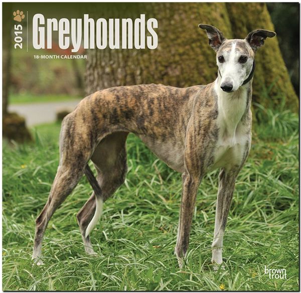 Produktbild: Greyhounds 2015 Wall