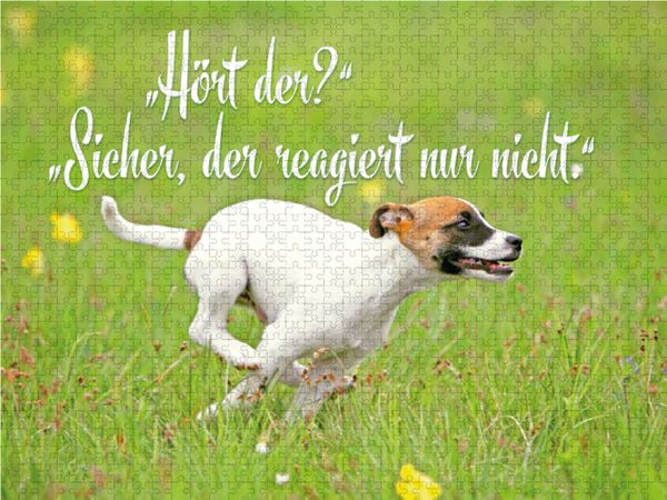Produktbild: CALVENDO Puzzle Jack Russell Terrier Welpe rennt &uuml;ber eine Wiese | 2000 Teile Lege-Gr&ouml;&szlig;e 90x67cm Foto-Puzzle f&uuml;r gl&uuml;ckliche Stunden