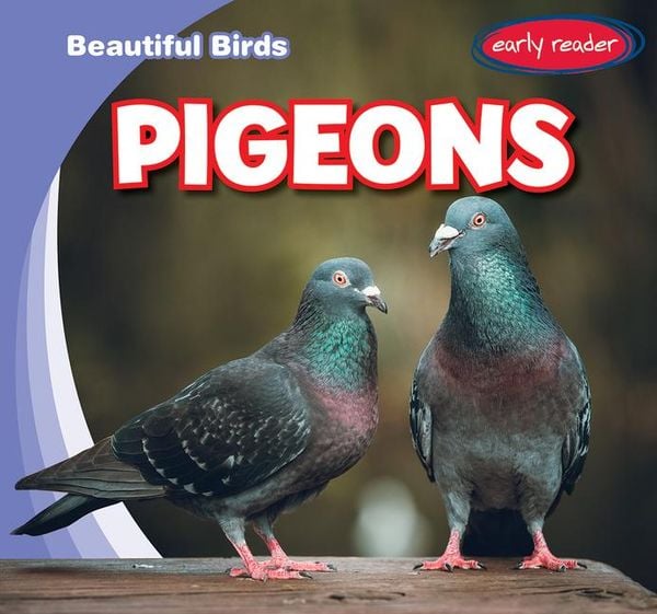 Produktbild: Jacobson, B: Pigeons