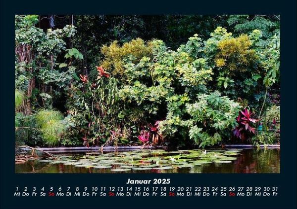 Produktbild: Natur Pur 2025 Fotokalender DIN A4