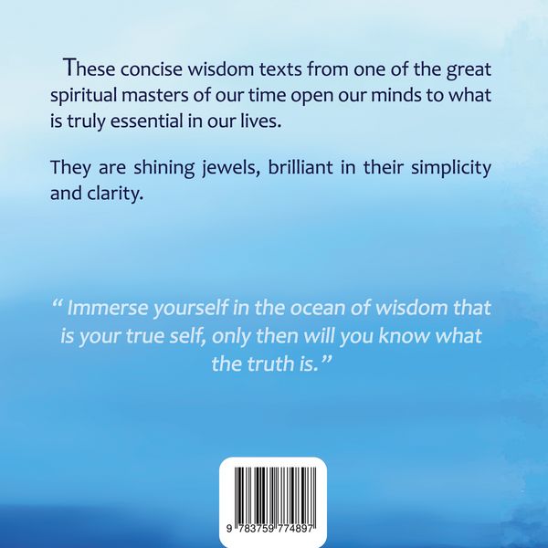 Produktbild: The light of wisdom