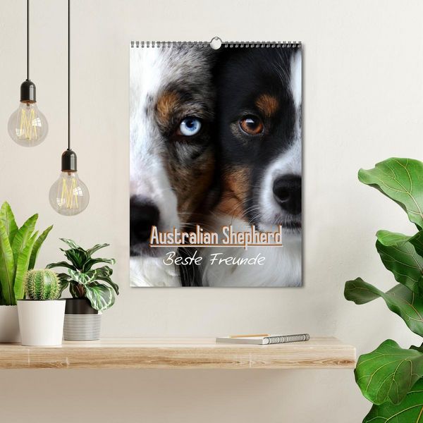 Produktbild: Australian Shepherd - Beste Freunde (Wandkalender 2026 DIN A3 hoch), CALVENDO Monatskalender