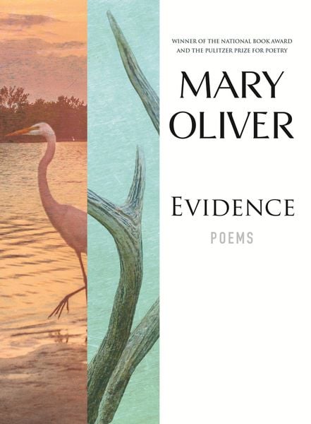Produktbild: Evidence