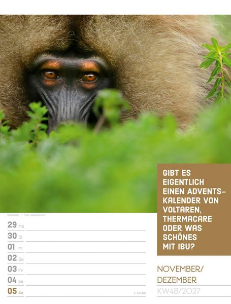 Produktbild: Tierisch Spr&uuml;chekalender Wochenplaner 2027