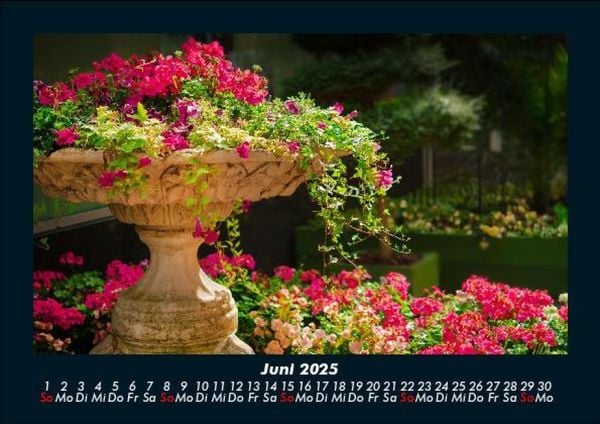Produktbild: Blumentr&auml;ume 2025 Fotokalender DIN A5