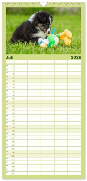 Produktbild: Familienplaner 2026 - Traumhund Sheltie mit 5 Spalten (Wandkalender, 21 x 45 cm) CALVENDO