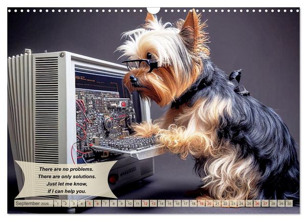 Produktbild: Great fun for Yorkshire Terrier lovers (Wall Calendar 2026 DIN A3 landscape), CALVENDO 12 Month Wall Calendar