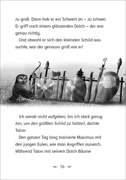 Der letzte Feuerfalke und der Stein der Macht (Band 1)